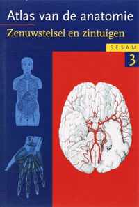 Sesam Atlas van de anatomie / 3 Zenuwstelsel en zintuigen