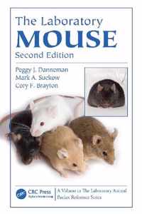 Laboratory Mouse