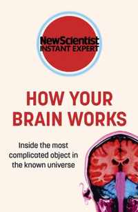 How Your Brain Works