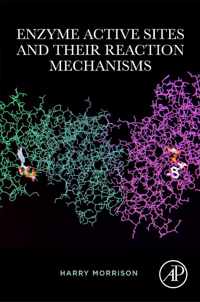 Enzyme Active Sites and their Reaction Mechanisms