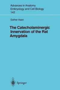 The Catecholaminergic Innervation of the Rat Amygdala