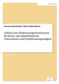 Aufbau eines Risikomanagementsystems fur kleine und mittelstandische Unternehmen mit Projektleistungstatigkeit