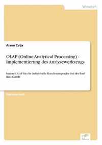 OLAP (Online Analytical Processing) - Implementierung des Analysewerkzeugs