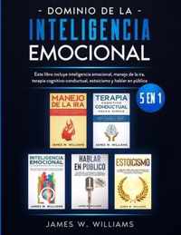 Dominio de la inteligencia emocional