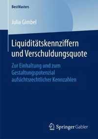 Liquiditaetskennziffern und Verschuldungsquote