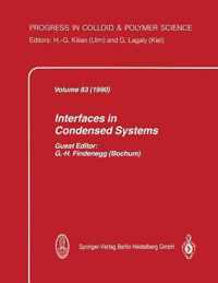 Interfaces in Condensed Systems