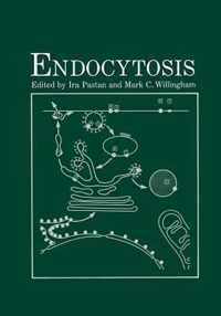 Endocytosis