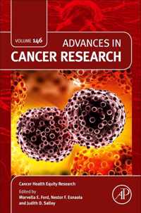 Cancer Health Equity Research