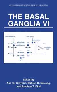 The Basal Ganglia VI