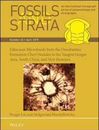 Ediacaran Microfossils from the Doushantuo Formation Chert Nodules in the Yangtze Gorges Area, South China, and New Biozones