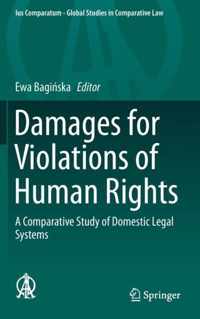 Damages for Violations of Human Rights