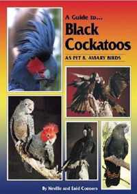 A Guide to Black Cockatoos as Pet & Aviary Birds