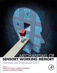 Mechanisms of Sensory Working Memory