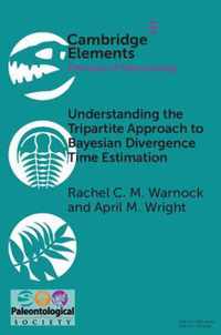 Understanding the Tripartite Approach to Bayesian Divergence Time Estimation