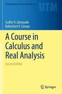 A Course in Calculus and Real Analysis