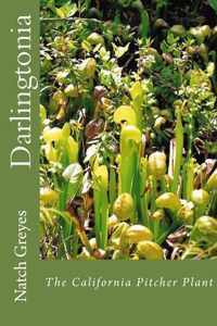 Darlingtonia