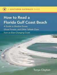 How to Read a Florida Gulf Coast Beach