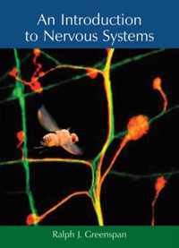 An Introduction To Nervous Systems