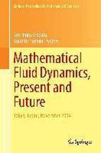 Mathematical Fluid Dynamics Present and Future