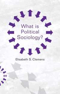 What is Political Sociology?