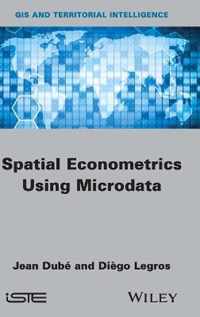 Spatial Econometrics using Microdata