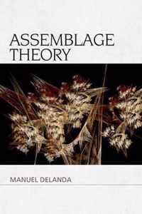 Assemblage Theory