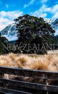 New Zealand Writing Drawing Journal