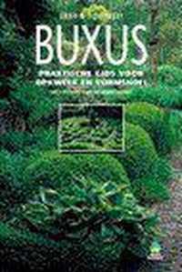 Buxus