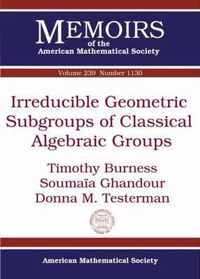 Irreducible Geometric Subgroups of Classical Algebraic Groups