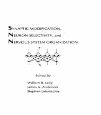 Synaptic Modification, Neuron Selectivity, and Nervous System Organization