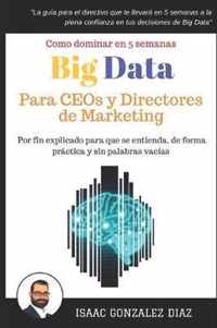 Big Data para CEOs y Directores de Marketing