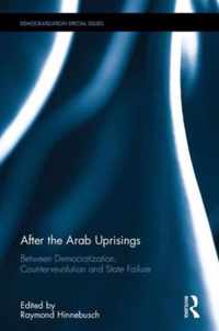 After the Arab Uprisings