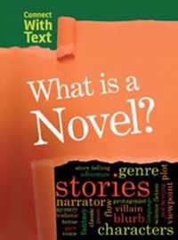 What is a Novel?