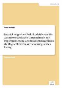 Entwicklung eines Praktikerleitfadens fur das mittelstandische Unternehmen zur Implementierung des Risikosmanagements als Moeglichkeit zur Verbesserung seines Rating