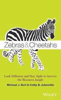 Zebras And Cheetahs