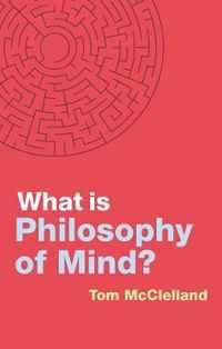 What Is Philosophy of Mind?