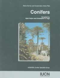 Conifers