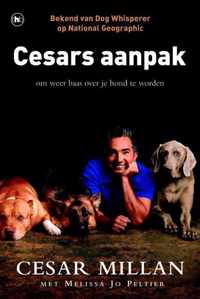 Cesars aanpak