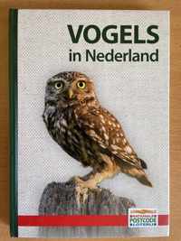 Vogels in Nederland