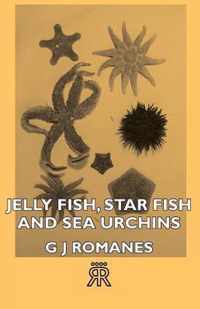 Jelly Fish, Star Fish And Sea Urchins