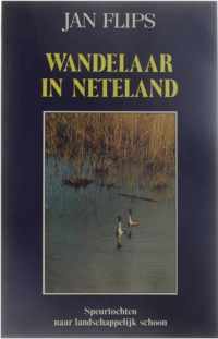 Wandelaar in Neteland