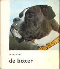 Boxer