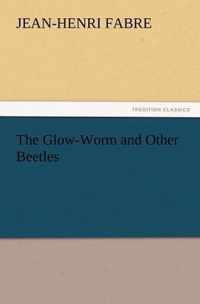 The Glow-Worm and Other Beetles