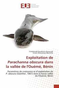 Exploitation de Parachanna obscura dans la vallee de l'Oueme, Benin