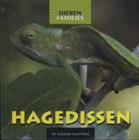 Dierenfamilies  -   Hagedissen