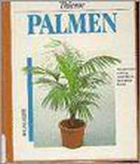 Palmen