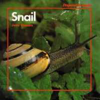 Snail