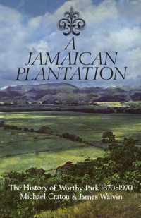 A Jamaican Plantation