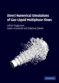 Direct Numerical Simulations of Gas-Liquid Multiphase Flows