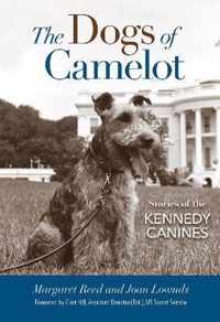 The Dogs of Camelot